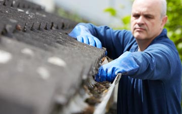 cleaning and inspecting Davenport Green roofs