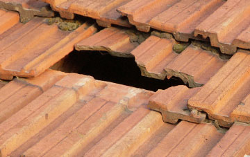 roof repair Davenport Green