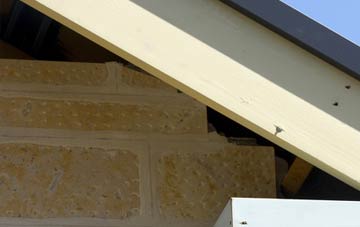 soffit repair Davenport Green