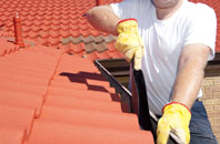 Davenport Green roof cleaners
